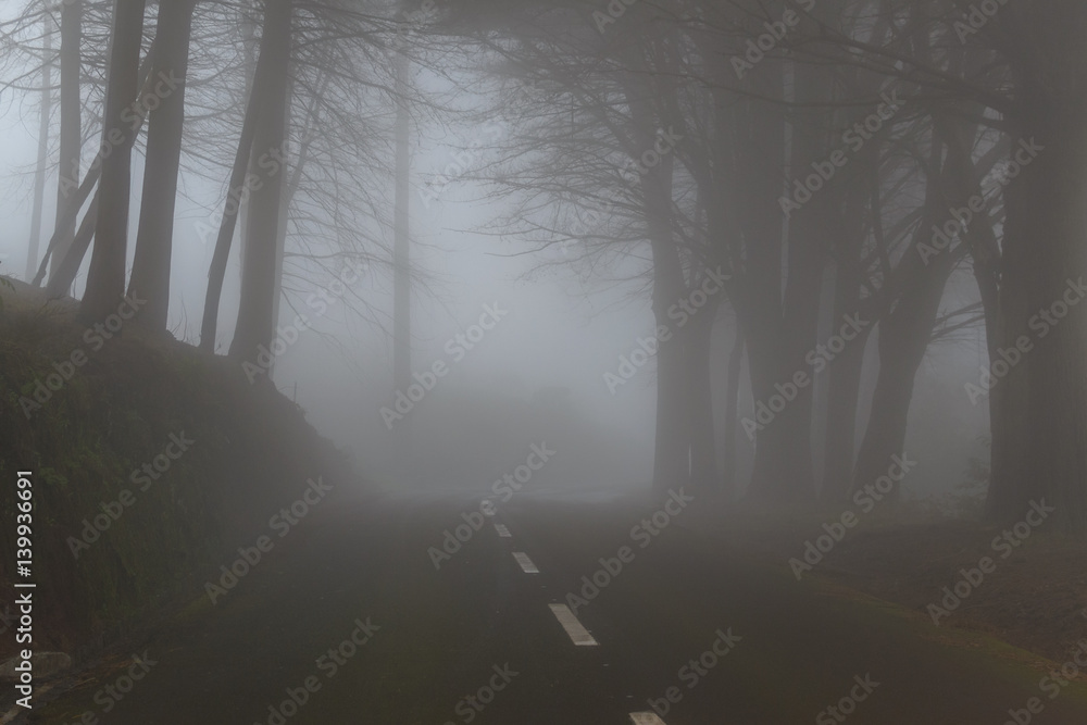 Naklejka premium Road in a fog in a cloud in the mountains of Madeira Island, Portugal