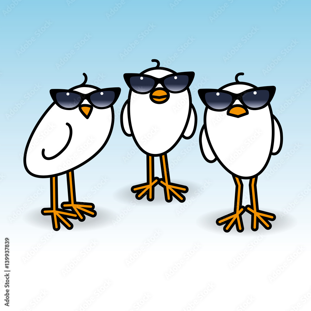 Fototapeta premium Three White Chicks Wearing Ladies Sunglasses Staring