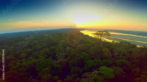Aerial Shot of Amazon Rainforest 