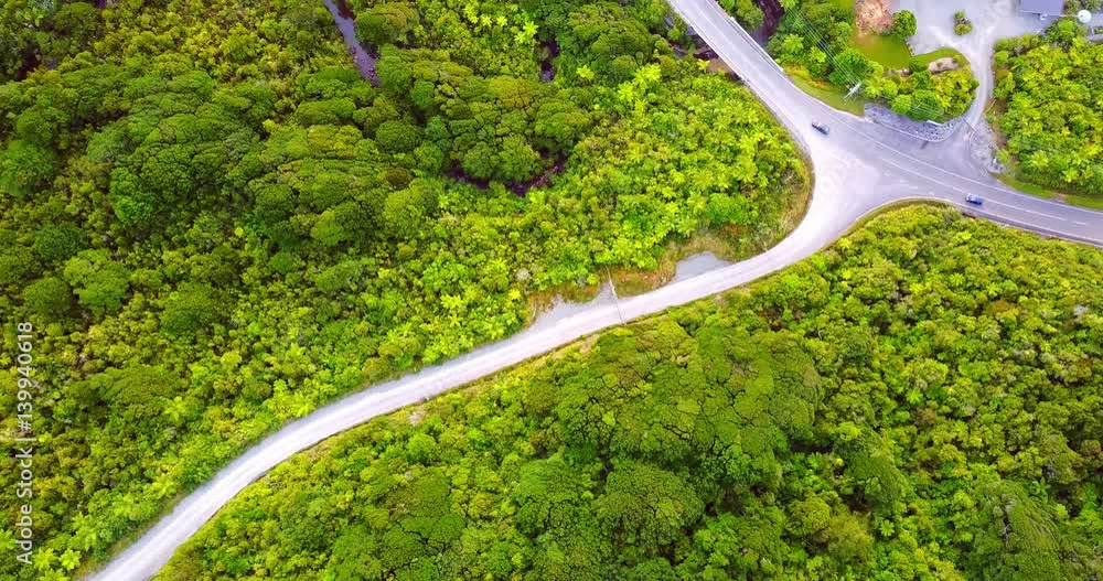 Aerial view of New Zealand tree fern forest wilderness Aerial view of New Zealand tree fern forest wilderness