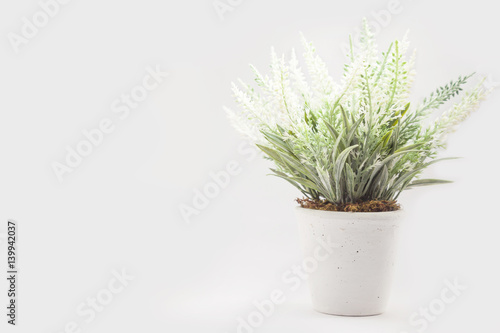 fake flower with vase on white background