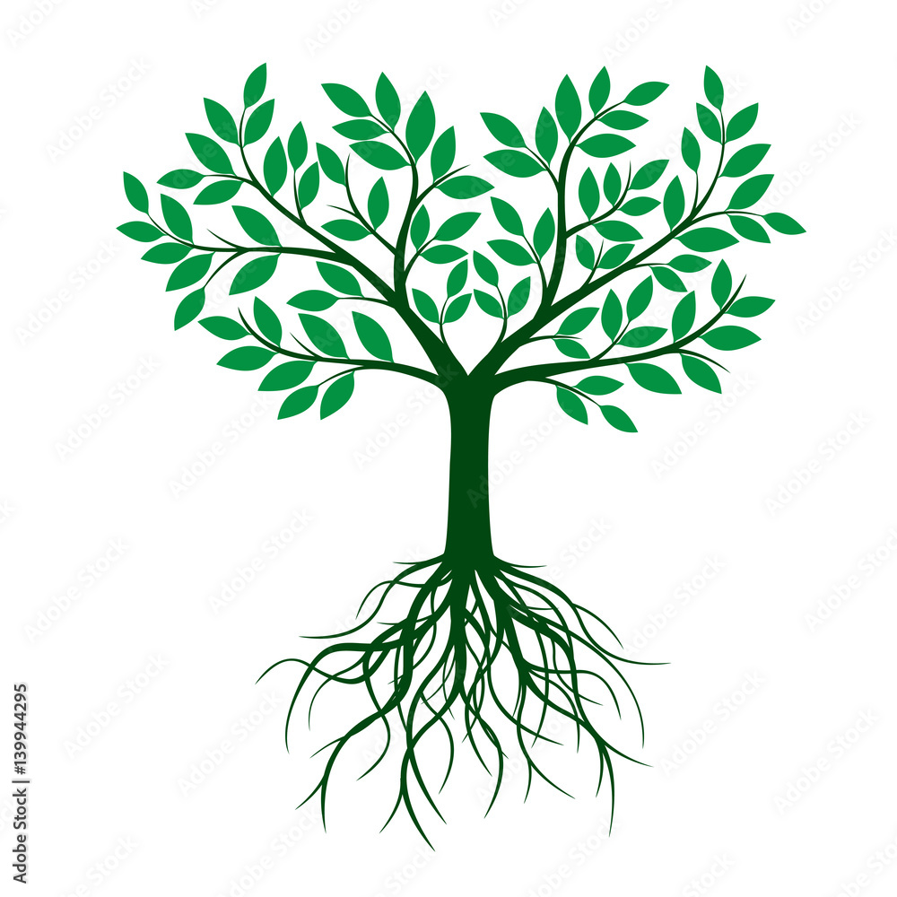 Green tree with roots and leafs. Vector Illustration.