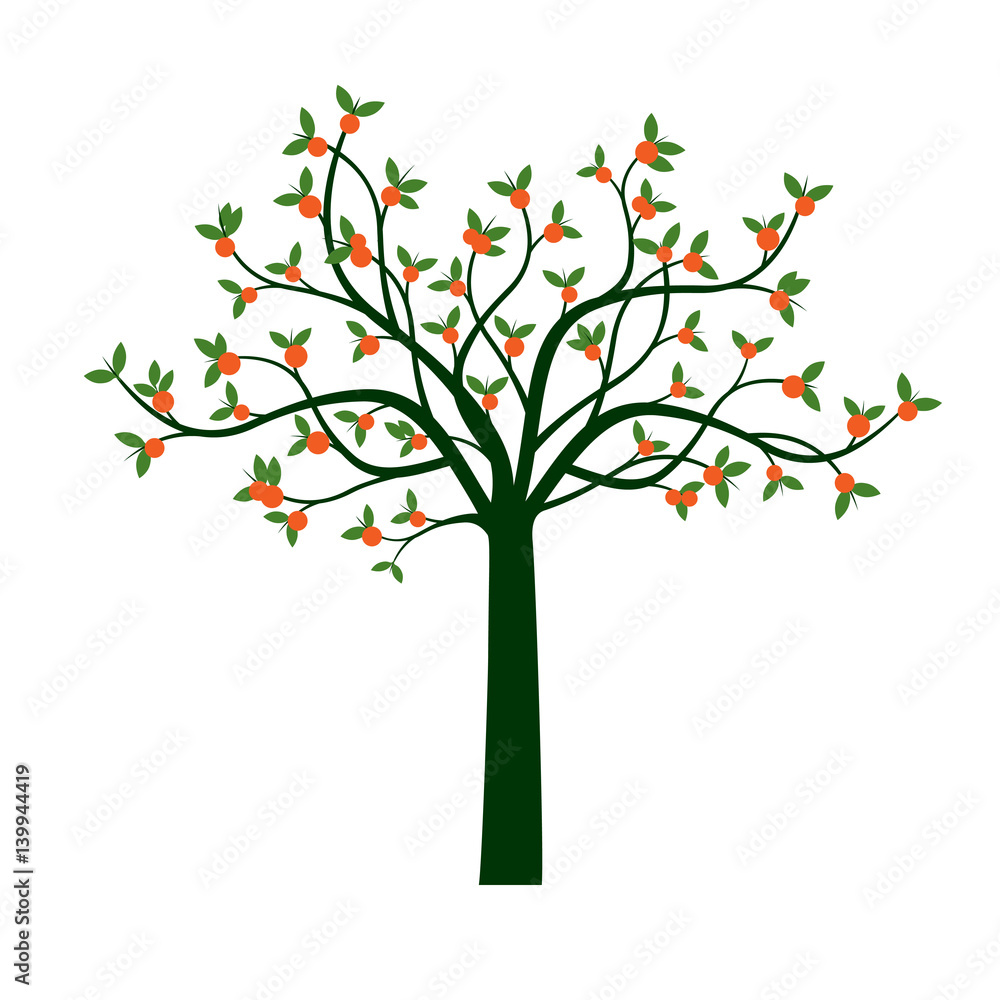 Green Tree and Orange Fruits. Vector Illustration.