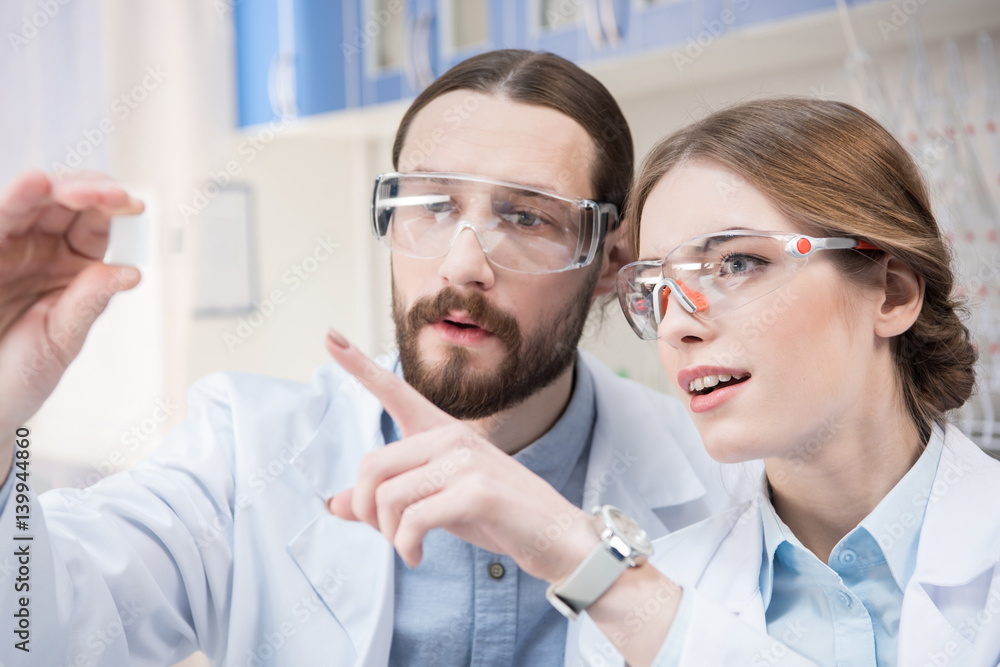 Obraz premium Two scientists at work