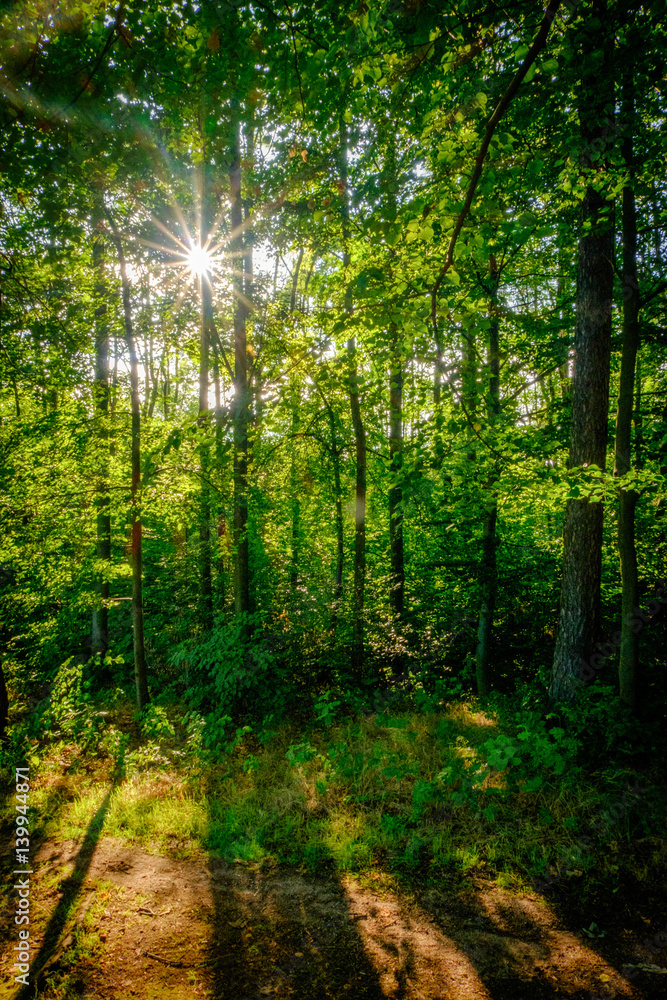 Beauty of nature