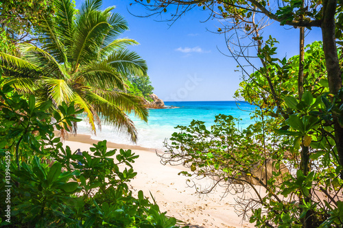 Beach of the Seychelles  Island Mah    Beach Machab  e