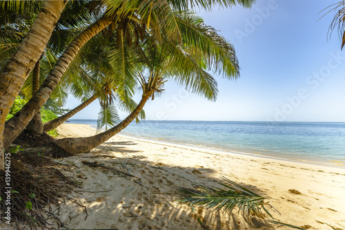 Fototapeta Naklejka Na Ścianę i Meble -  Beach of the Seychelles, Island Mahé, Beach Anse aux Pins