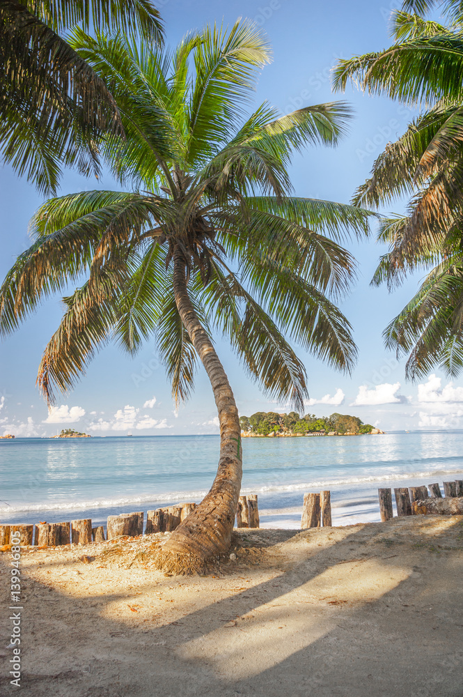 Obraz premium Beach of the Seychelles, Island Praslin, Beach Anse Volbert