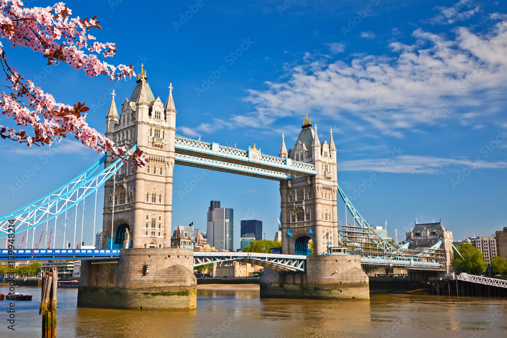 Naklejka premium Tower Bridge na wiosnę, Londyn