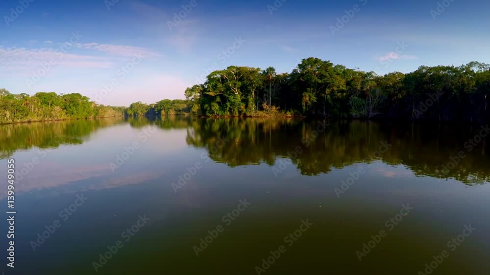 Aerial Shot of Amazon Rainforest Aerial Shot of Amazon Rainforest