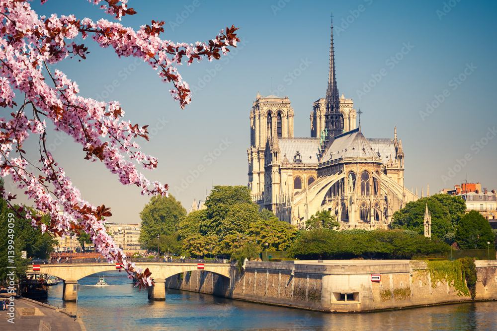 Fototapeta premium Nasza Pani z Paryża na wiosnę, Francja