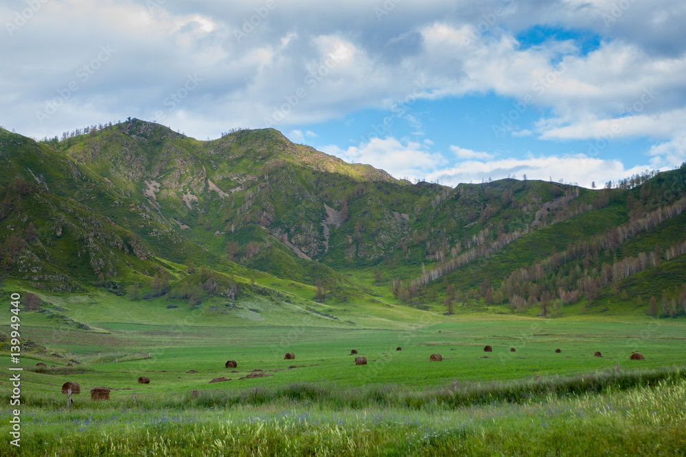 Green valley in the mountains. Beautiful mountain landscape with a meadow on which there are haystacks in the background the green mountains. Blue sky and white clouds in the Altai mountains. Russia