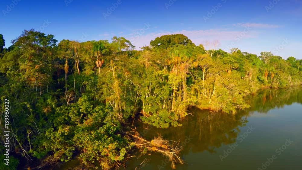 Aerial Shot of Amazon Rainforest Aerial Shot of Amazon Rainforest