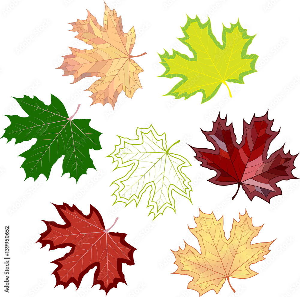 colorful mosaic maple leaves. isolated. easy to modify. vector illustration. colorful mosaic maple leaves. isolated. easy to modify. vector illustration.