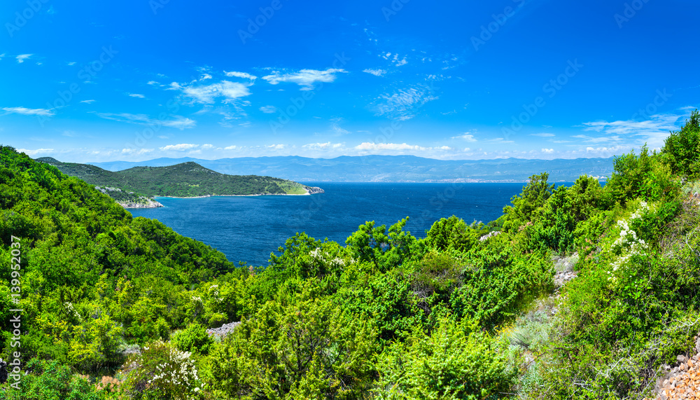 Obraz premium Wonderful romantic summer afternoon landscape panorama coastline Adriatic sea. The magical clear transparent azure water in the bay. Krk island. Croatia. Europe.
