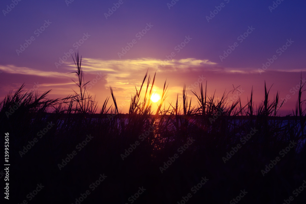 Florida coast sunset