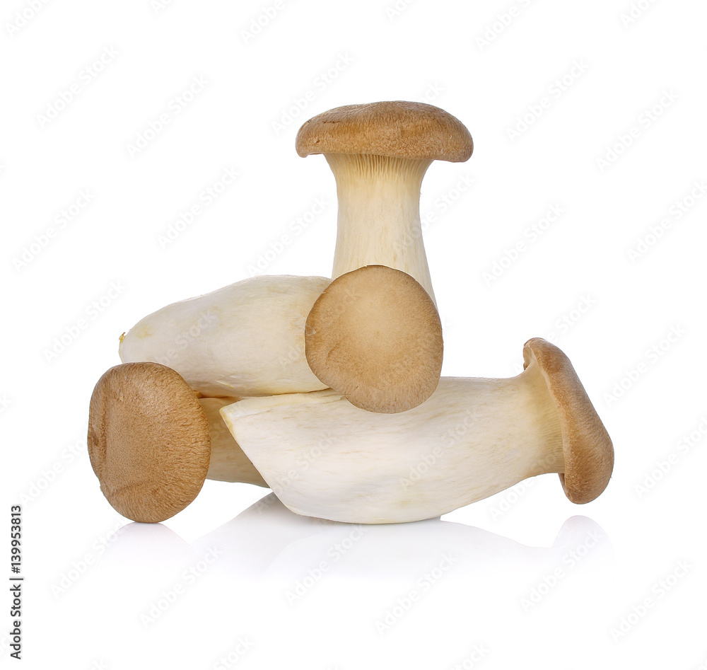 King Oyster mushroom (Eringi) isolated on white background. King Oyster mushroom (Eringi) isolated on white background.