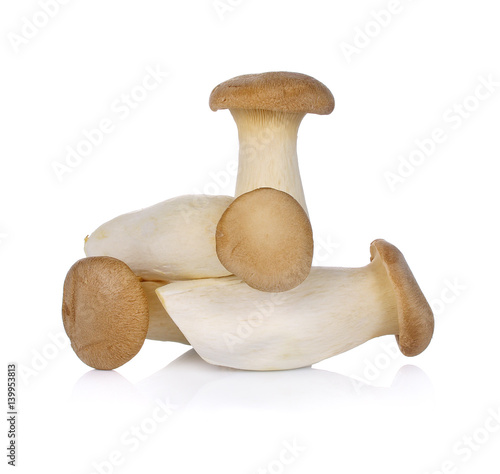 King Oyster mushroom (Eringi) isolated on white background.