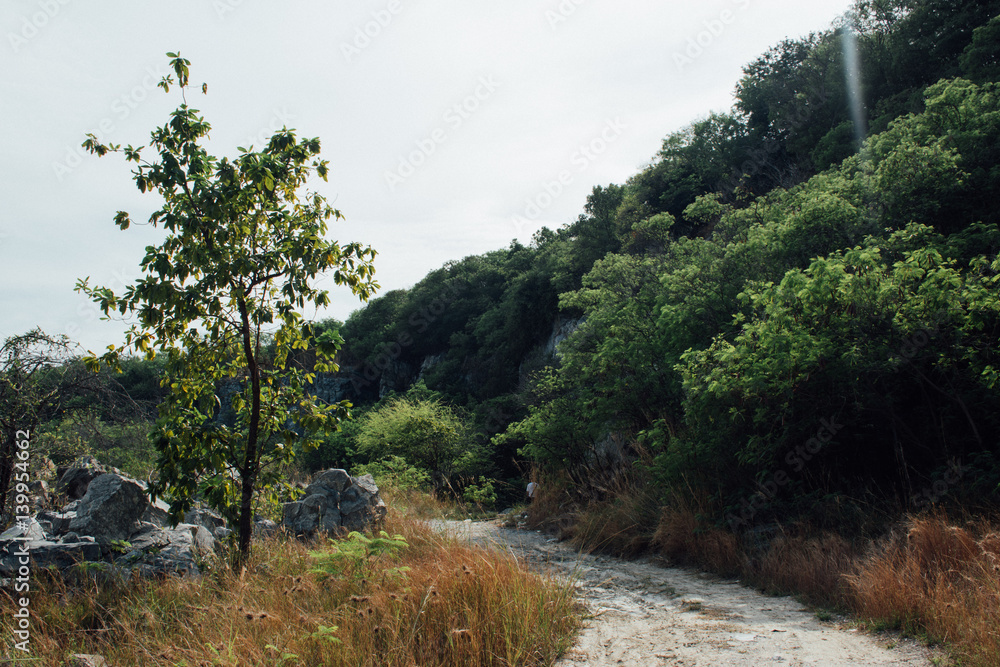 Obraz premium Rough arid road through the trees and mountain at Koh Sri Chang, Thailand.