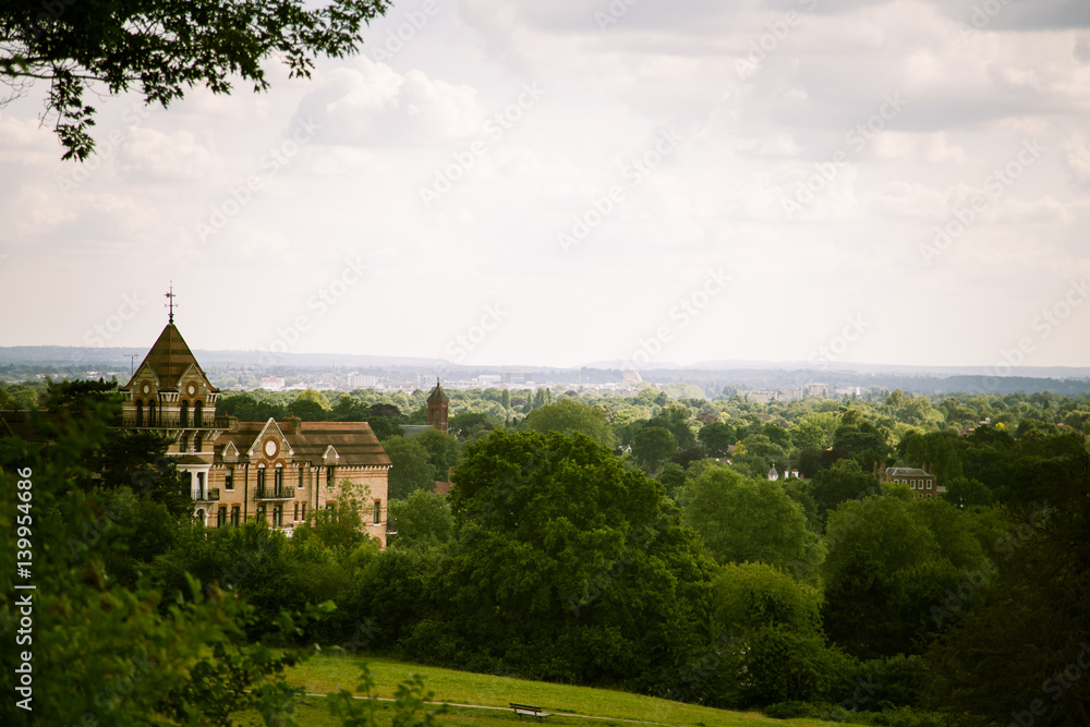 Naklejka premium A beautiful landscape of a park in London