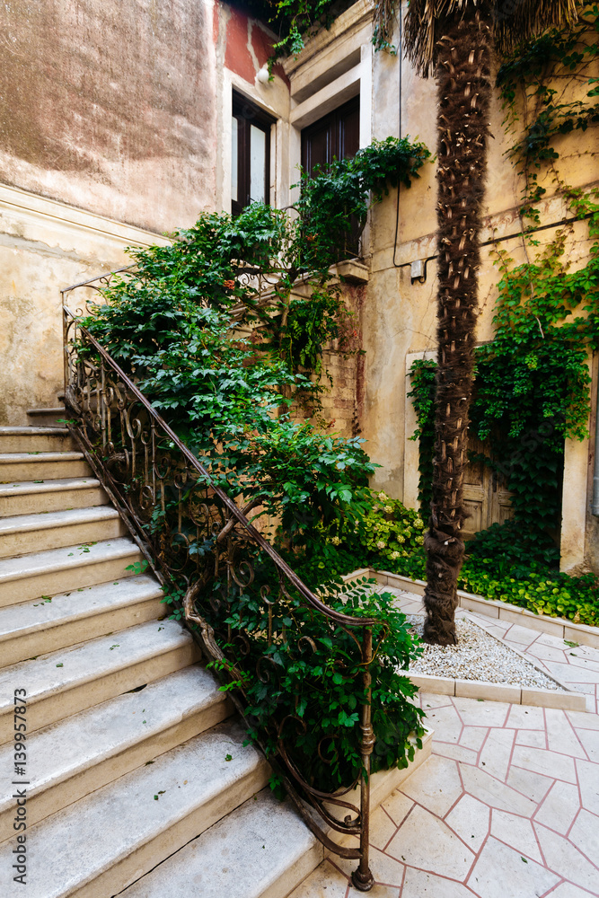 Stairs in the house in a European city, overgrown with shrubs and leaves.
