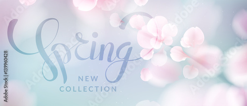 Pink sakura petals falling background