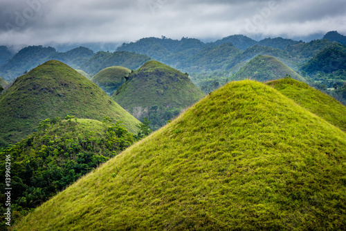 Impressive and Famous Chocolate Mountains of Bohol Island, Philippines.