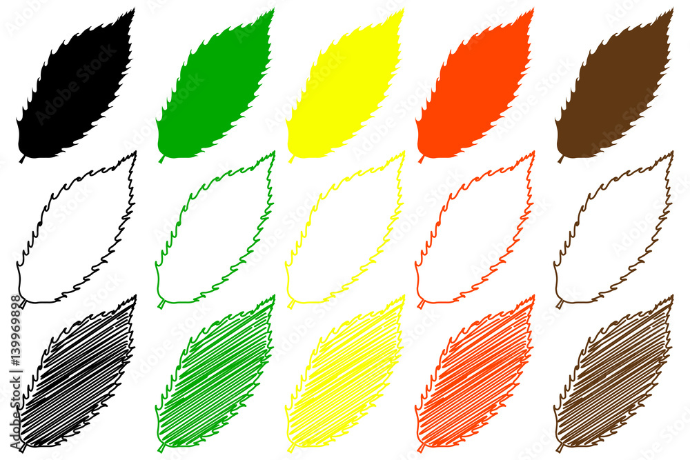 chestnut leaf - color set, chestnut leaf, chestnut leaf - color set, chestnut leaf,