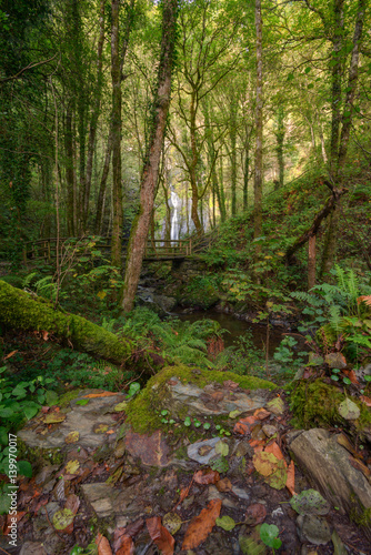 Path and wooden bridge in the surroundings of the waterfall
