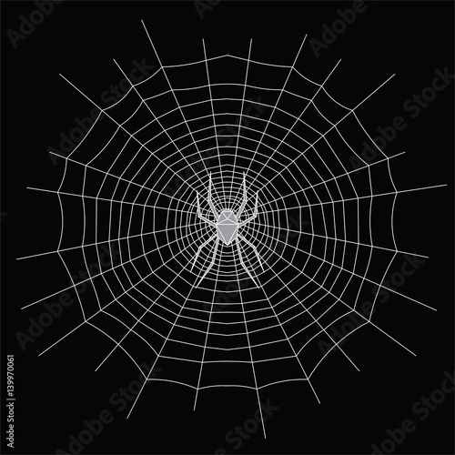 Ragnatela e ragno, design di linee bianche sullo sfondo nero, illustrazione vettoriale