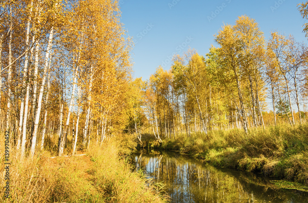 Beautiful autumn landscape