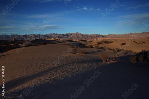 Sand dunes  Death Valley National Park.