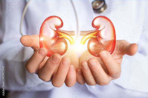 Doctor supports kidneys healthy. photo