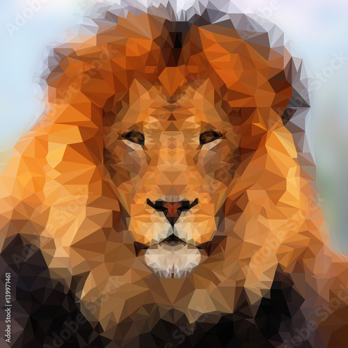 Fototapeta Naklejka Na Ścianę i Meble -  Abstract Polygonal Illustration, Lion Low Poly Portrait.