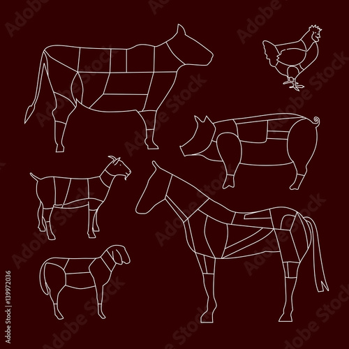 TAGLI DI CARNE