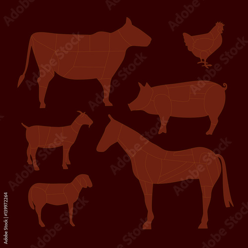 TAGLI DI CARNE