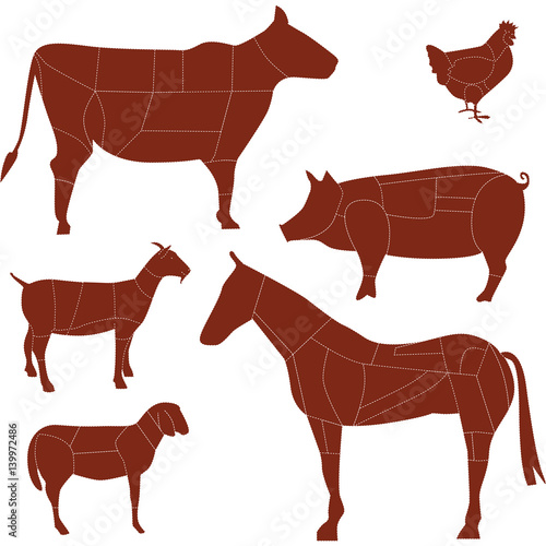 TAGLI DI CARNE