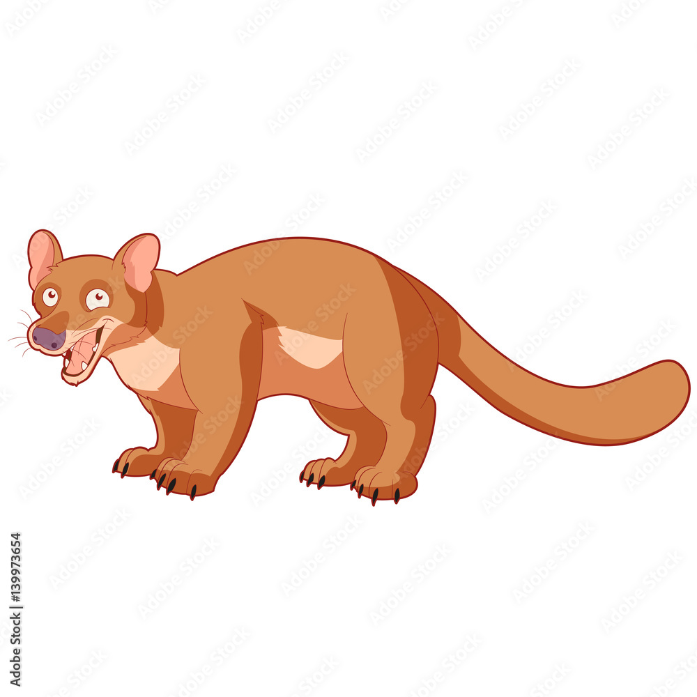 Fototapeta premium Cartoon smiling fossa