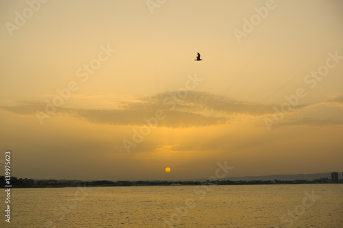 calm sea with the sun sitting down in it © Aliaksei Luskin