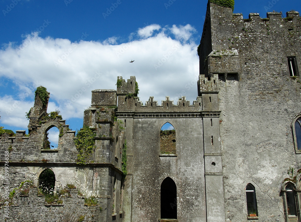 Leap Castle in Offaly County Ireland Leap Castle in Offaly County Ireland