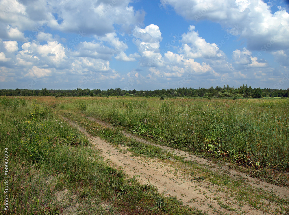 Fototapeta premium Дорога через луг