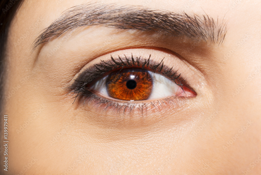 A beautiful insightful look woman's eye. Close up shot A beautiful insightful look woman's eye. Close up shot