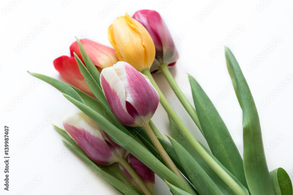 Fototapeta premium Bouquet of tulips on a white background. Soft spring background. The image is isolated. Selective focus.