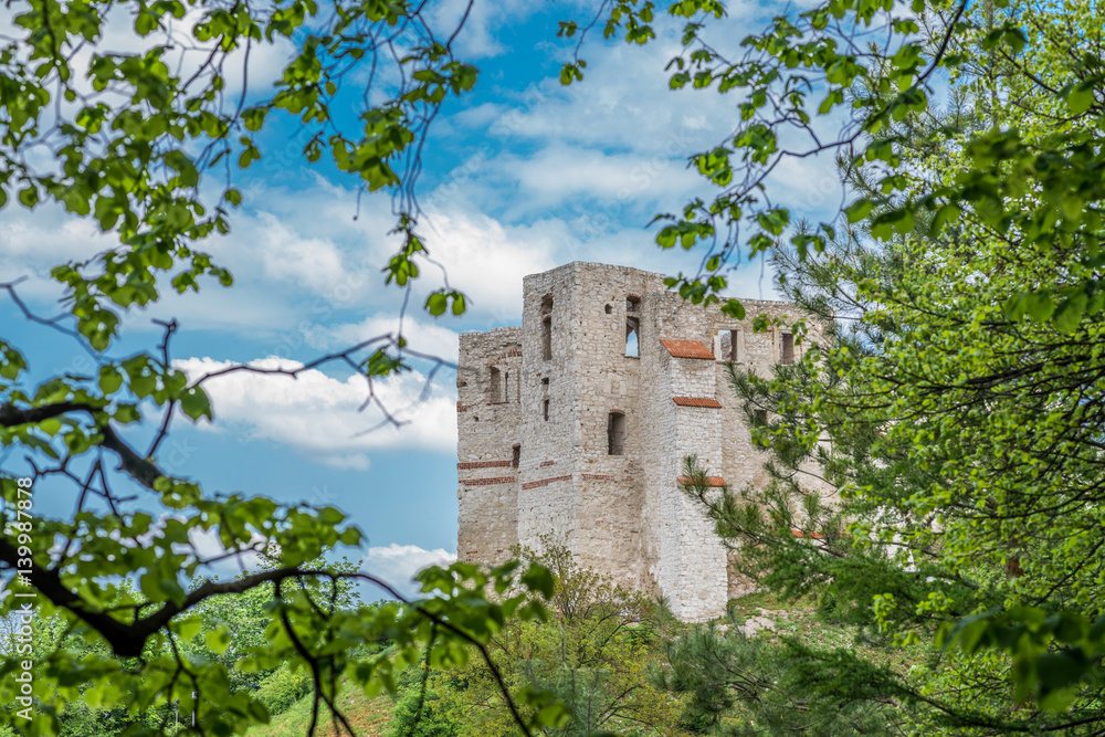 Naklejka premium Castle ruins in Kazimierz Dolny, Poland