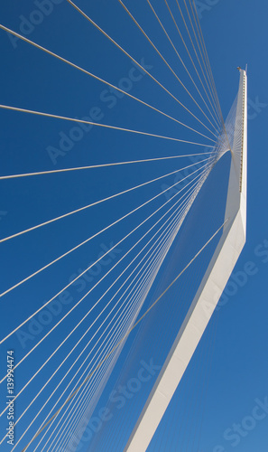 Srting bridge in Jerusalem