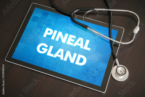 Slika na platnu Pineal gland (endocrine disease related) diagnosis medical concept on tablet scr