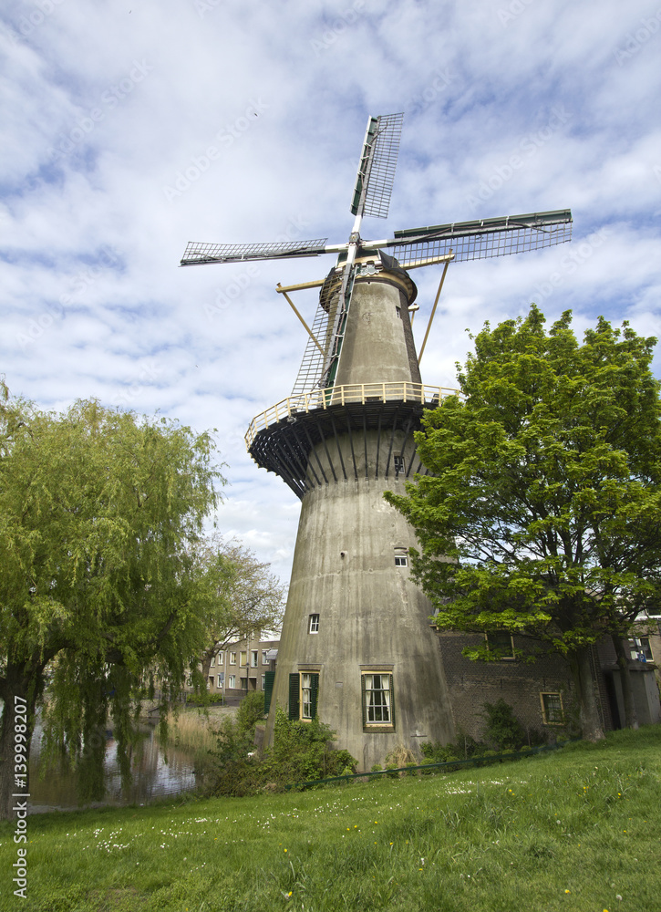 Large Windmill and trees in Schiedam, Holland