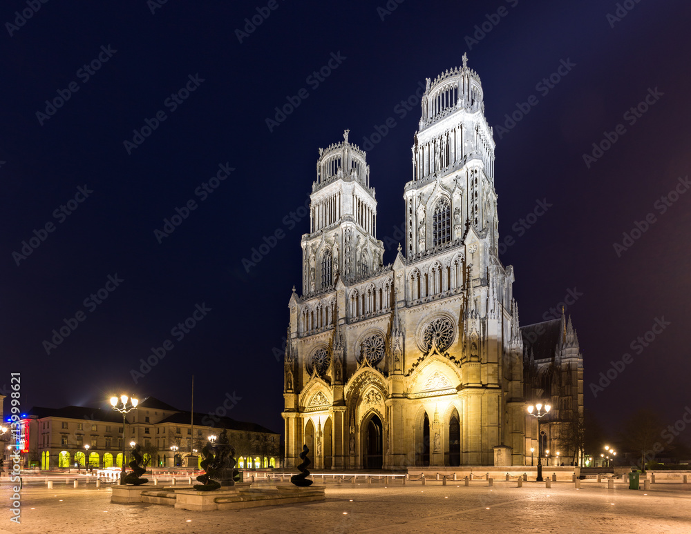 La cathédrale Sainte Croix d'Orléans, France