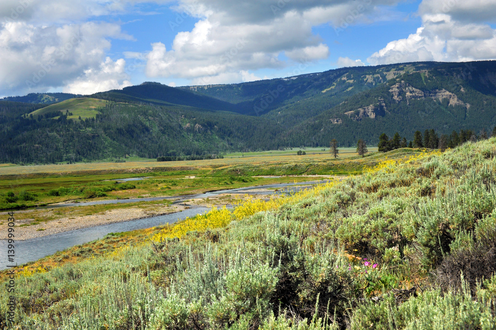 Fototapeta premium Soda Butte Creek