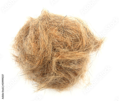 Ball of dog hair close-up